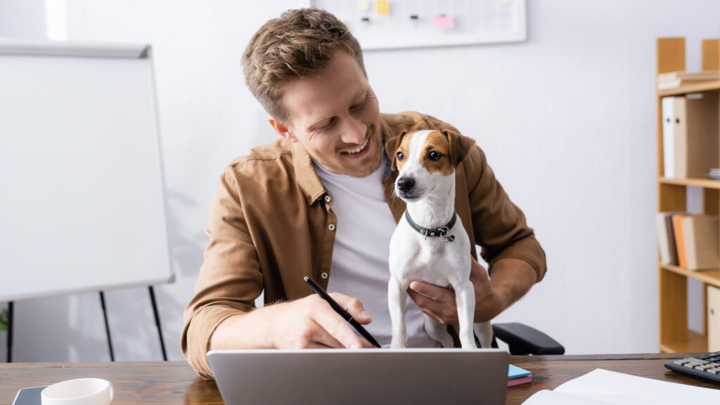‎easy side hustles